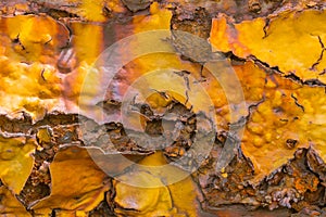 Metal iron rust with peeling paint background photo