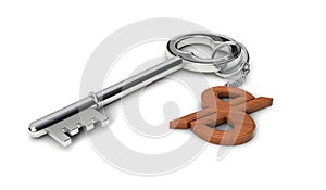 Metal key with wooden Uzbekistani soÊ»m shaped keychain isolated on white background. 3d illustration.