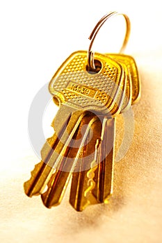 Metal keys on paper background