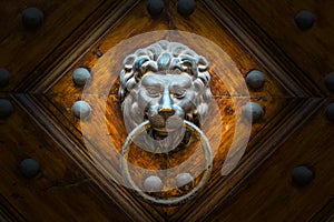 The Metal knocker like a lion`s head on an ornate door