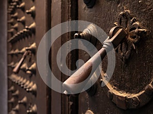 Metal knocker on an old wooden door and surrounded by deterrent skewers