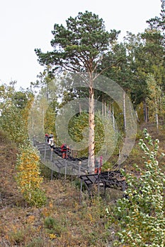 Metal ladder for climbing up the mountain.