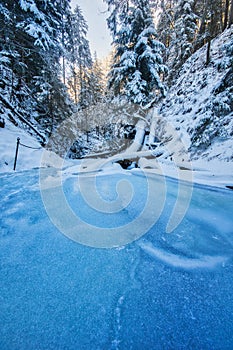 Frozen creek in Sucha Bela gorge in Slovak Paradise during winter