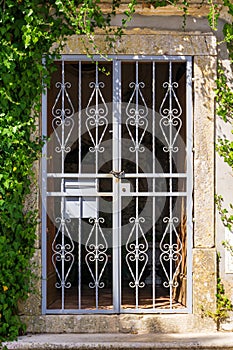 Metal lattice at the entrance to an old abandoned house overgrown with ivy