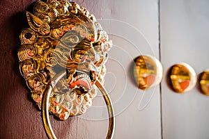 Metal Lion Door Knocker at Wooden Gate