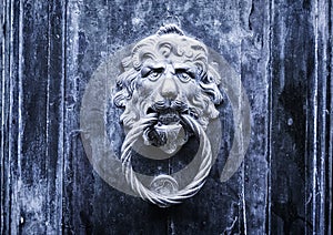 Metal lion doorknob - Concept for antique, gothic, mistery