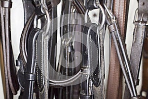 Metal martingale rings with attached belts on the background of different leather harness