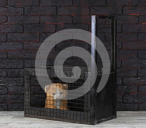 mesh animal trap cage photo