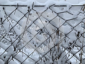 The metal mesh is covered with snow. Chain-link fence on a snow-covered mountain. Fencing in the orchard in winter