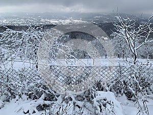 The metal mesh is covered with snow. Chain-link fence on a snow-covered mountain. Fencing in the orchard in winter