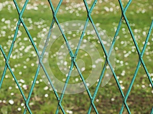 Metal mesh with fence and lawn