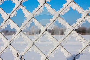 Metal mesh in the hoarfrost