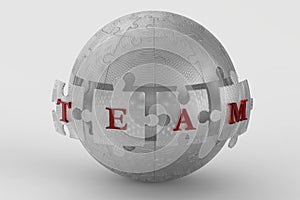 Metal mesh team puzzle globe