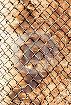 Metal mesh on the wood background