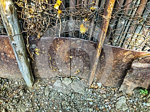 Metal mesh and wooden fence with a wicket overgrown with ivy bushes. Close up shot