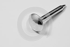 Metal nail  on white background. working tools