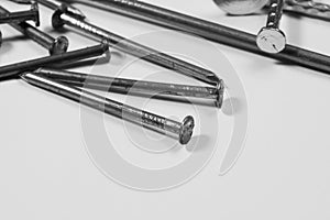 Metal nails  on white background. working tools