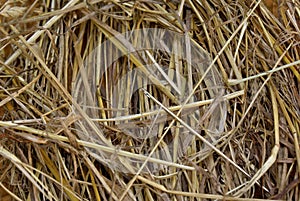 Metal needle in hay