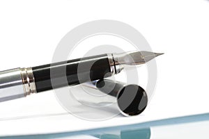 Metal Nib Pen