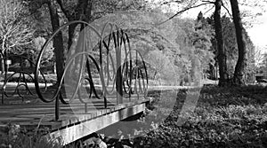 Metal old bridge in landscape