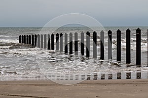 Metal pilings from shoreline into ocean