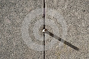 Metal pintle or dowel in a granite wall photo