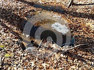 Metal pipes and water and leaves and bubbles