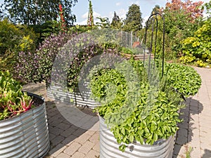 Metal Planters in public garden photo
