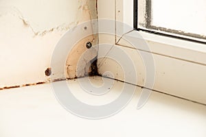 Metal-plastic window in an apartment damaged by mold and moisture close up