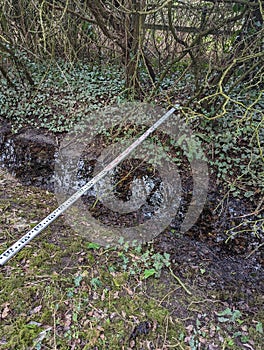 Metal Pole Sticking Out of the Ground in the Woods
