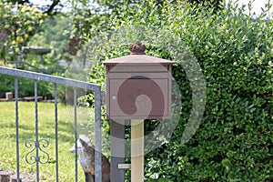 Metal Post Box in Germany in the Garden