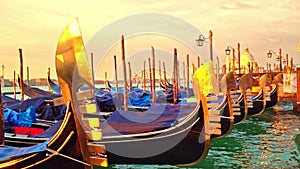 The metal prows of the gondolas reflect the soft yellow sunrise in Venice and bob on azure water