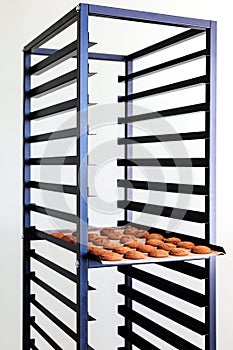 Metal rack with freshly baked cookies on a white background.