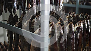 Metal racks with hanging fish in drying cabinet closeup