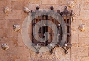 Metal railing at Casa de las Conchas, Salamanca