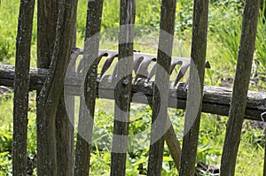 Metal rake lying on the mossy wooden fence