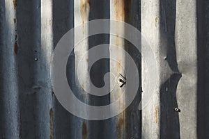 Metal rasty background