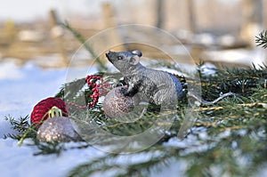 Metal rat. Christmas background. Red Christmas tree toy on a spruce branch in the snow. copyspace. postcard. congratulation. new y