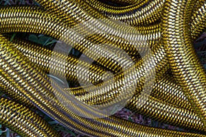 Metal reinforced hose