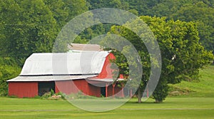 Metal Roof Barn