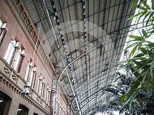 Metal roof and natural plants indoor