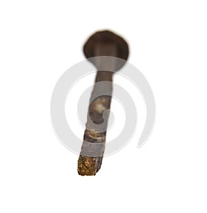 Metal rusty old nail isolated on white background