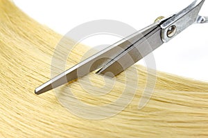 Metal scissors on blond hair on white background. Top view of strand of brown hair with scissors on white background