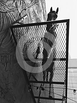 A metal sculpture of a horse in the heart of horse-loving Lexington, Kentucky