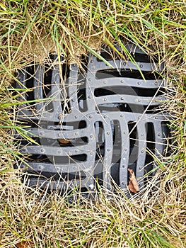 Metal sewer grate in the grass.