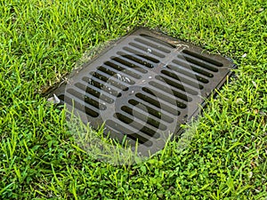 Metal Sewer Grid Manhole on a Green Gas of a Park