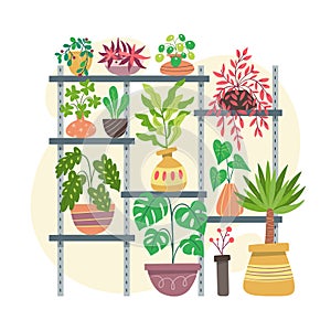 Metal shelf with indoor plants