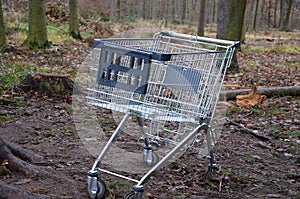 Metal shopping cart stands forgotten in the woods. the customer bought, drove to the spruce forest park. Buy a piece of forest, na