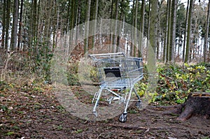 Metal shopping cart stands forgotten in the woods. the customer bought, drove to the spruce forest park. Buy a piece of forest, na
