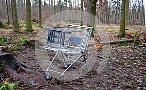 Metal shopping cart stands forgotten in the woods. the customer bought, drove to the spruce forest park. Buy a piece of forest, na